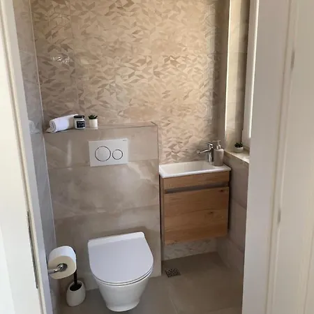 Luxury Penthouse Vibius *