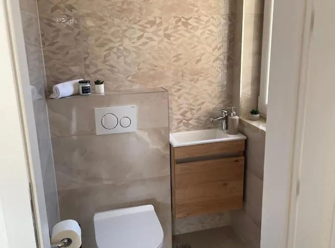 Luxury Penthouse Vibius *